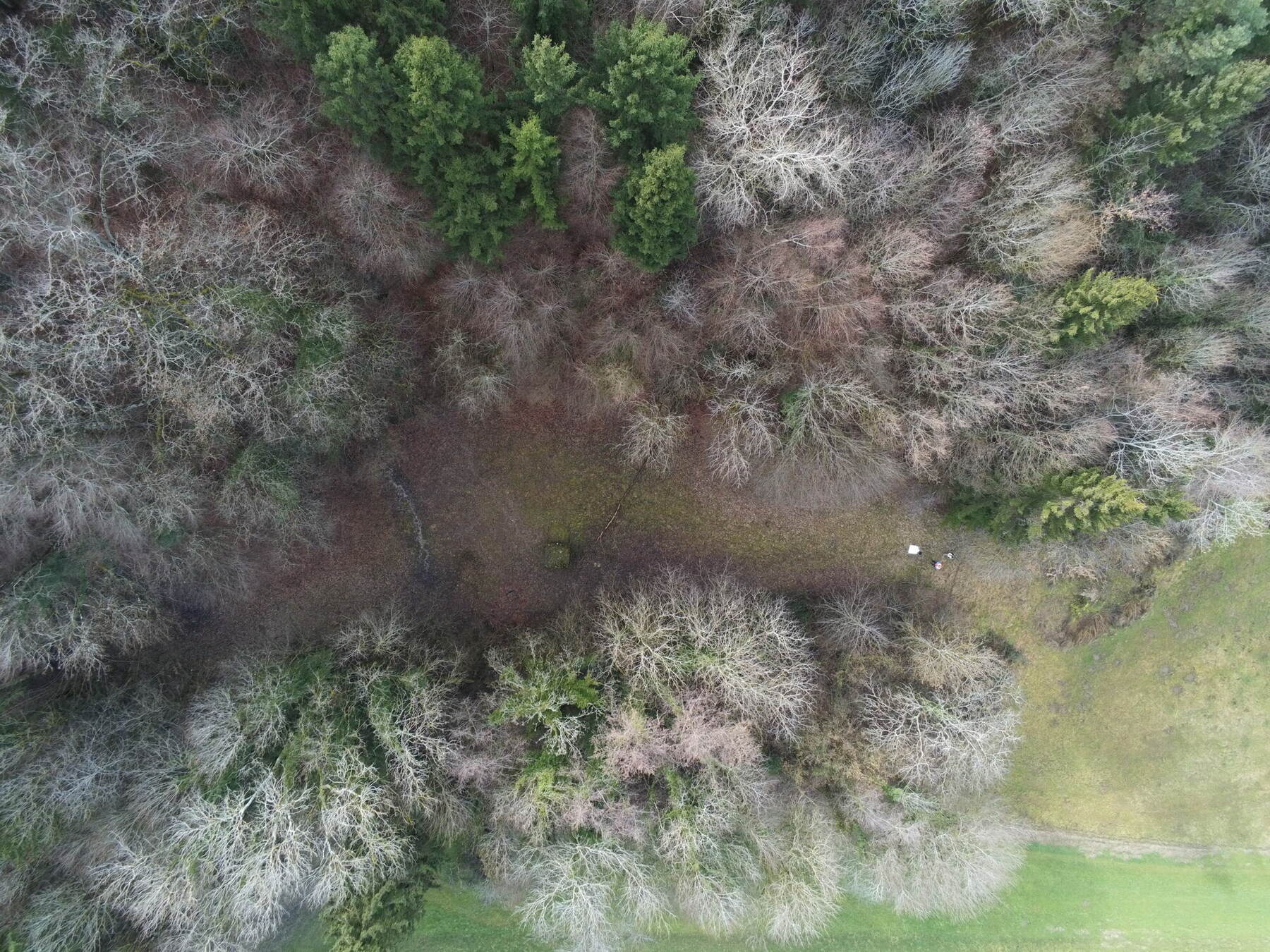 Vue zénithale par drone d'un périmètre de captage entre forêt et prairie, en hiver